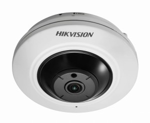 DS-2CD2942F-IWS(1.6mm)